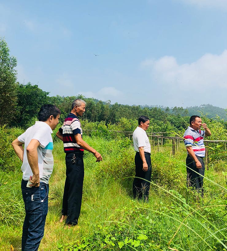 Z6·尊龙「中国区」官方网站