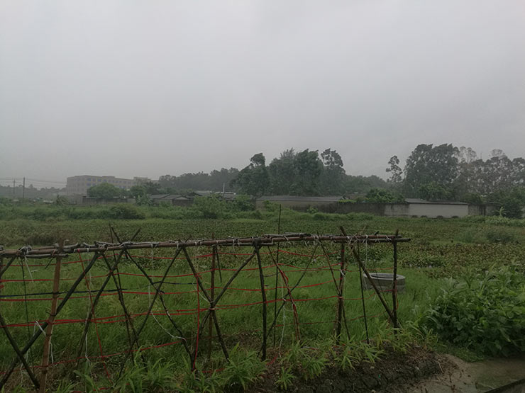 Z6·尊龙「中国区」官方网站