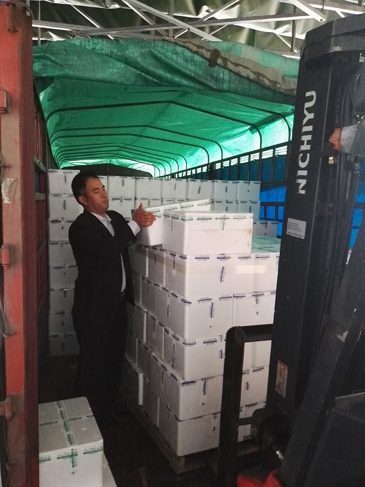 Z6·尊龙「中国区」官方网站