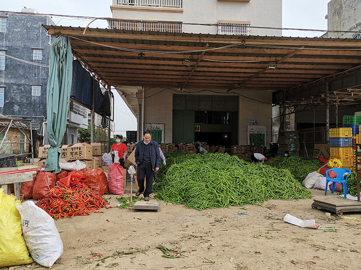 Z6·尊龙「中国区」官方网站