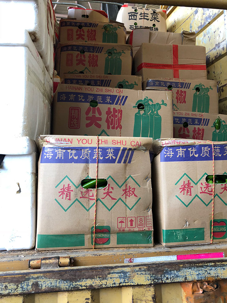 Z6·尊龙「中国区」官方网站