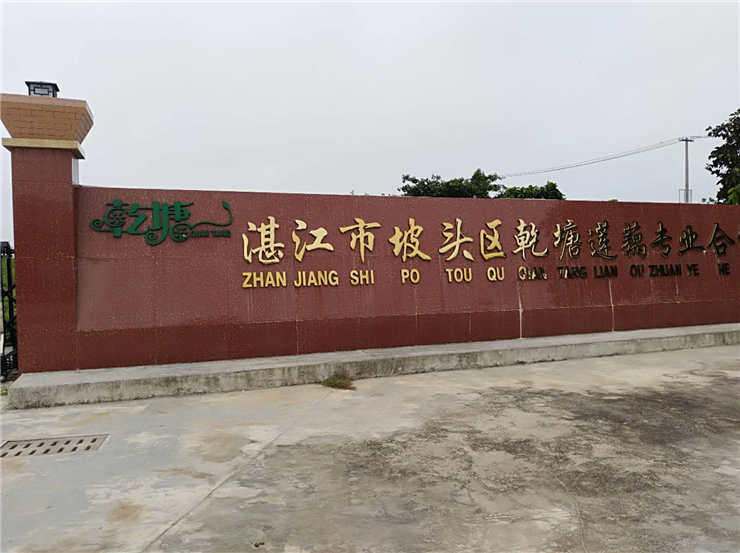 Z6·尊龙「中国区」官方网站