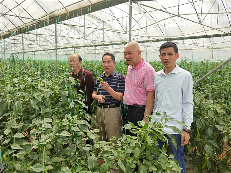 Z6·尊龙「中国区」官方网站