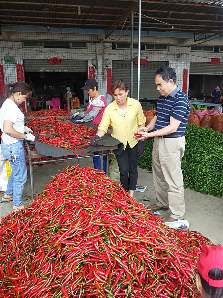 Z6·尊龙「中国区」官方网站