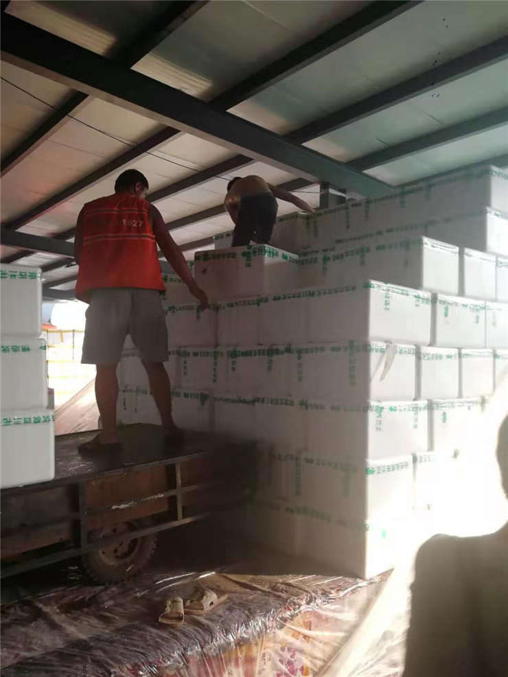 Z6·尊龙「中国区」官方网站