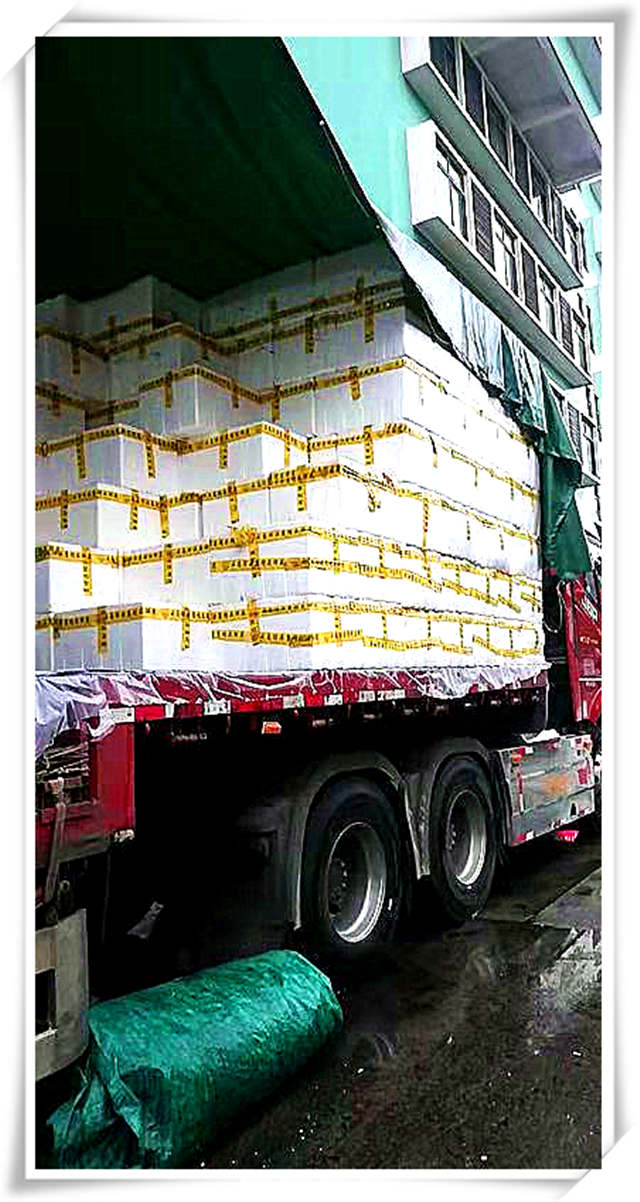 Z6·尊龙「中国区」官方网站