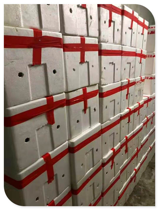 Z6·尊龙「中国区」官方网站