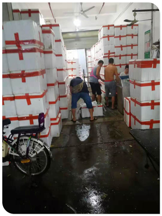 Z6·尊龙「中国区」官方网站