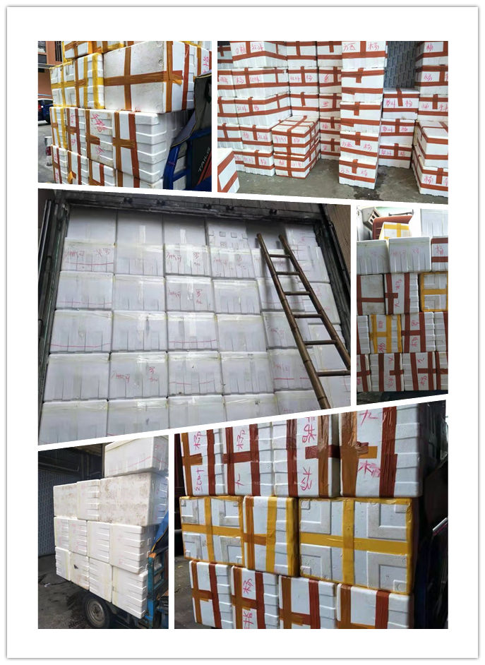 Z6·尊龙「中国区」官方网站