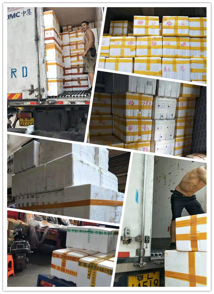 Z6·尊龙「中国区」官方网站