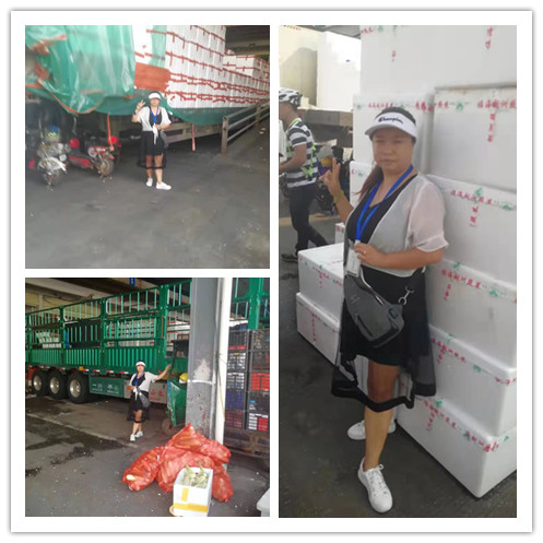 Z6·尊龙「中国区」官方网站