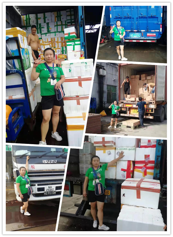 Z6·尊龙「中国区」官方网站