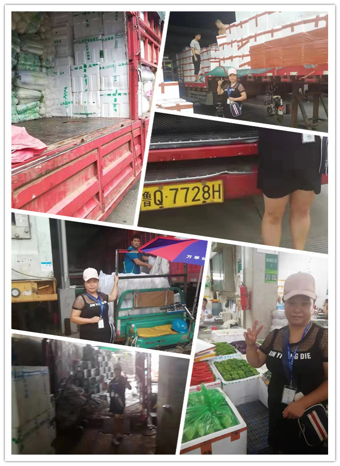 Z6·尊龙「中国区」官方网站