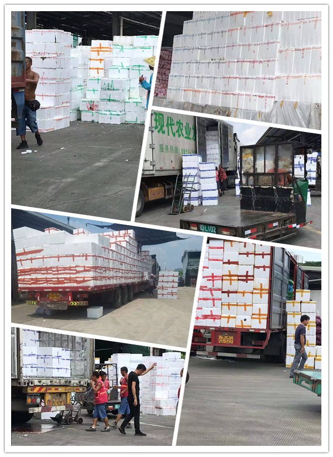 Z6·尊龙「中国区」官方网站