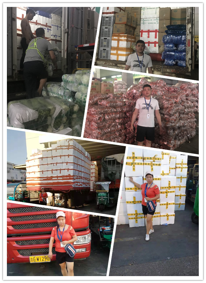 Z6·尊龙「中国区」官方网站