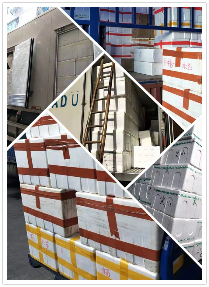 Z6·尊龙「中国区」官方网站