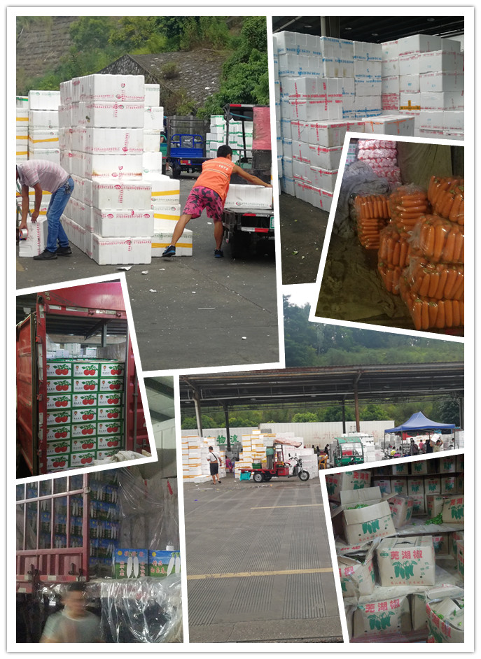 Z6·尊龙「中国区」官方网站