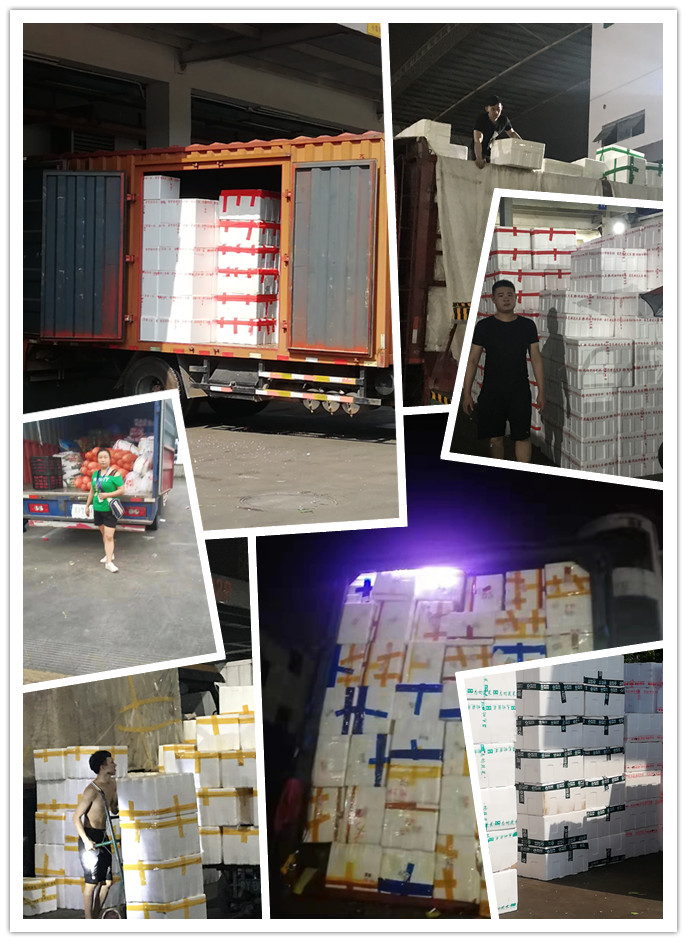 Z6·尊龙「中国区」官方网站