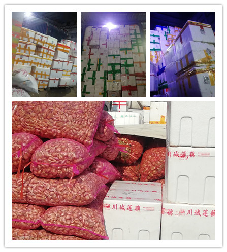 Z6·尊龙「中国区」官方网站