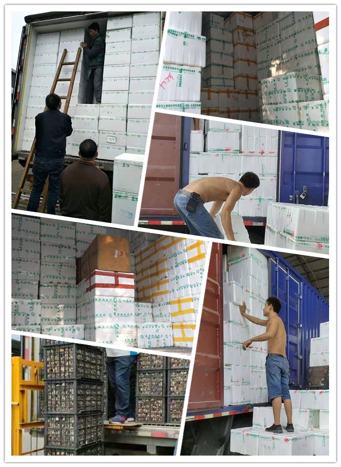 Z6·尊龙「中国区」官方网站