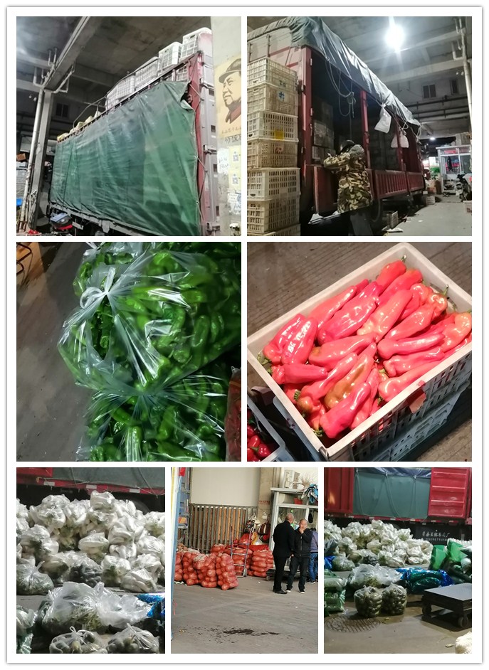 Z6·尊龙「中国区」官方网站