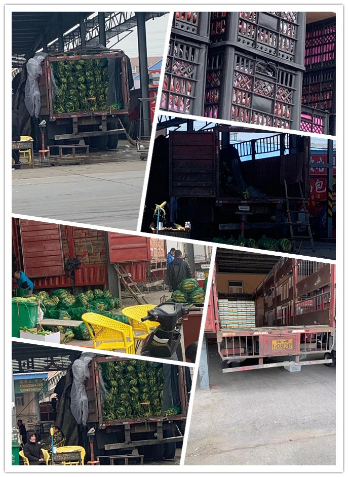 Z6·尊龙「中国区」官方网站