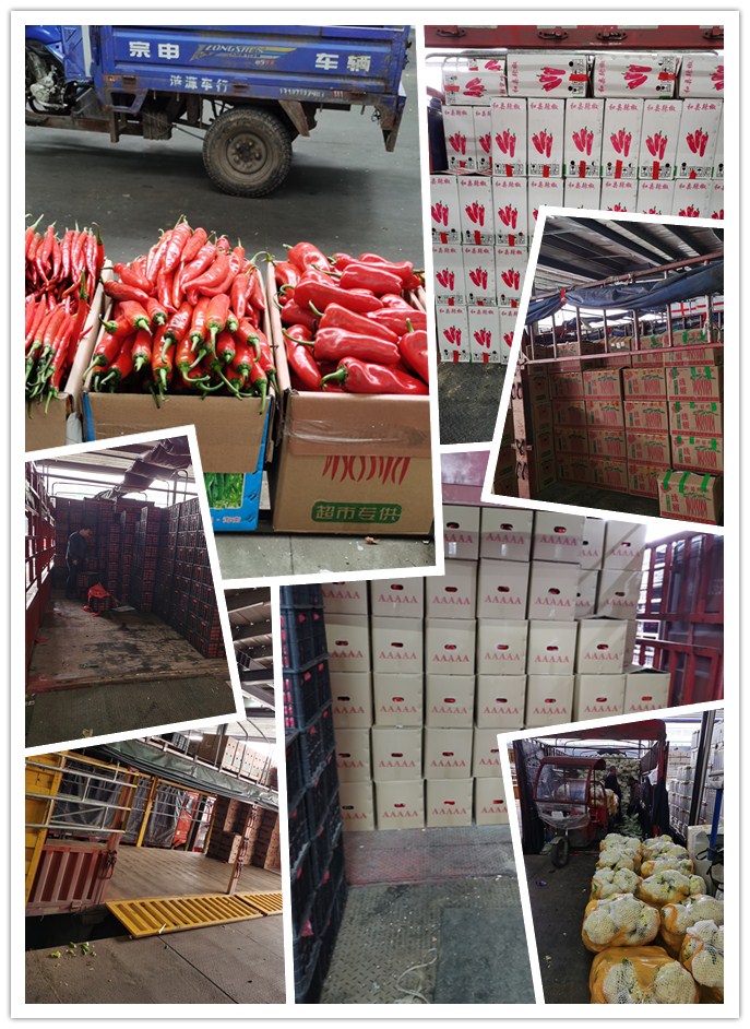 Z6·尊龙「中国区」官方网站