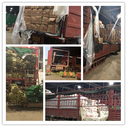 Z6·尊龙「中国区」官方网站