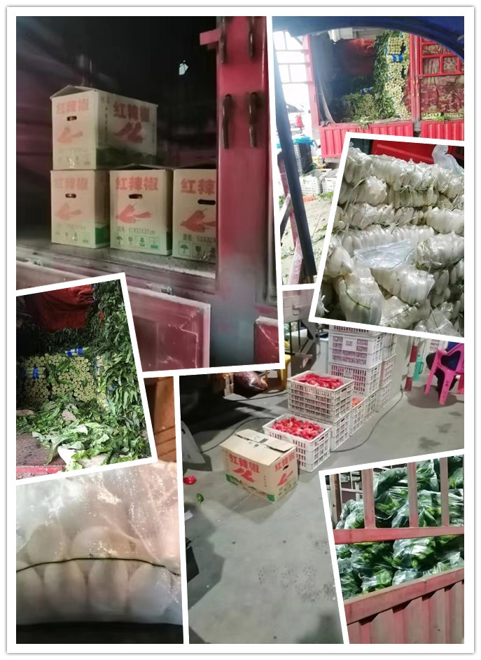 Z6·尊龙「中国区」官方网站