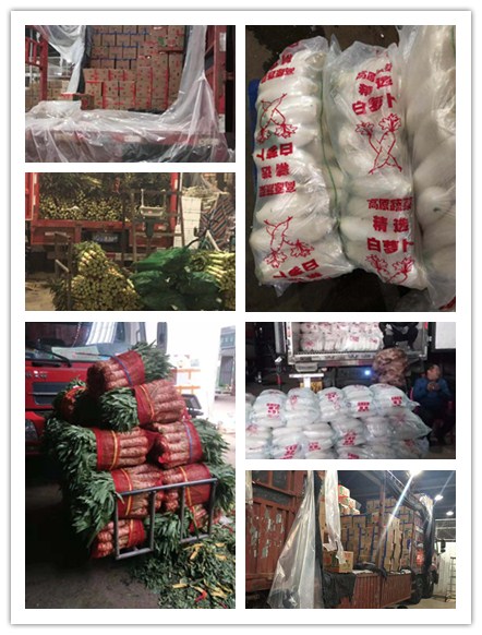 Z6·尊龙「中国区」官方网站