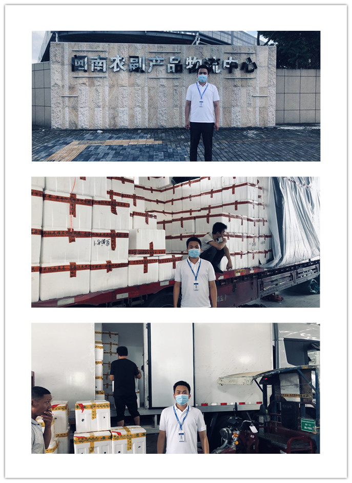 Z6·尊龙「中国区」官方网站