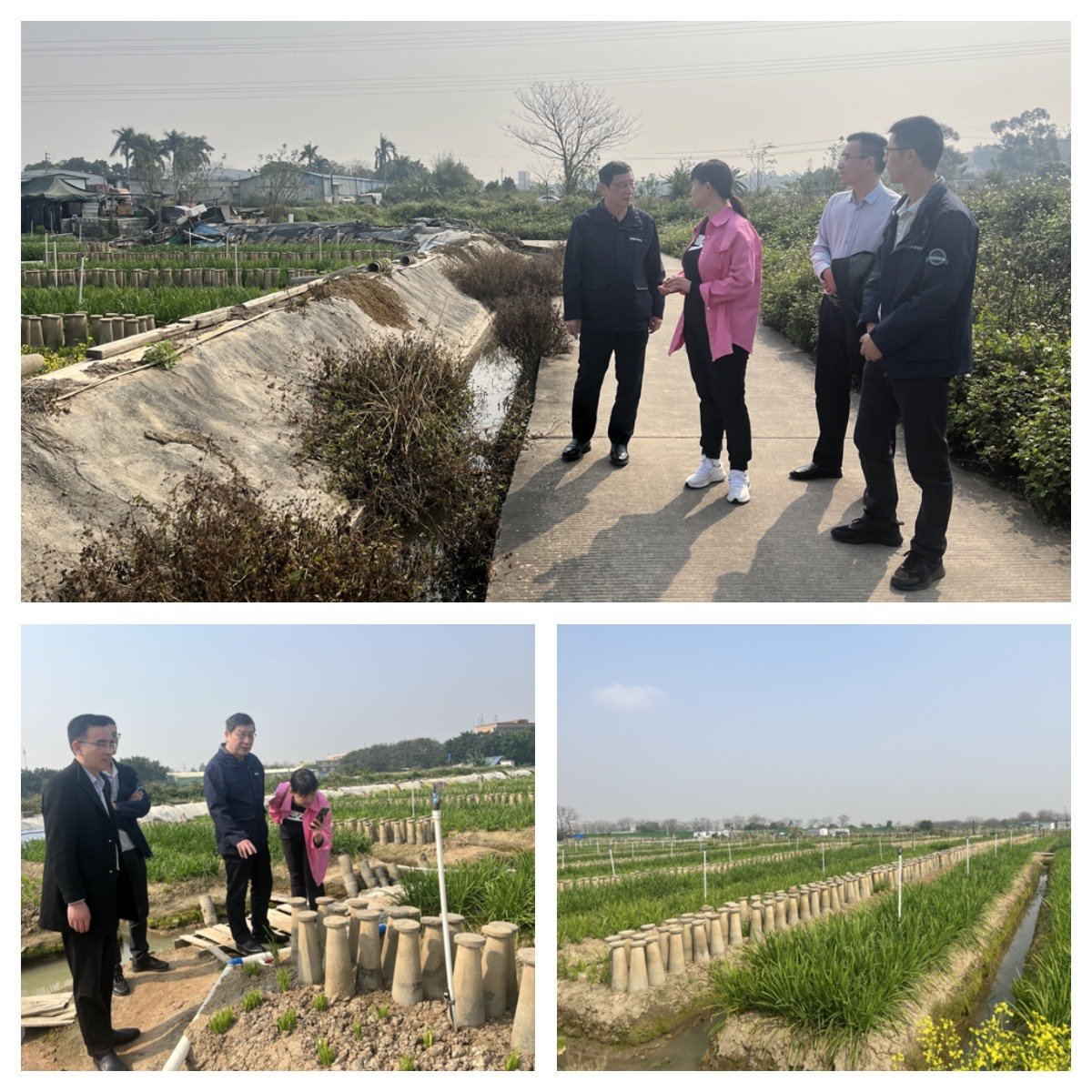 Z6·尊龙「中国区」官方网站