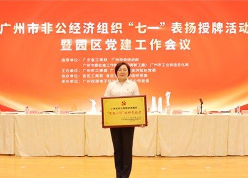 标杆引领，荣誉升级！集团党支部荣膺广州市非公有造经济组织“双强六好”标