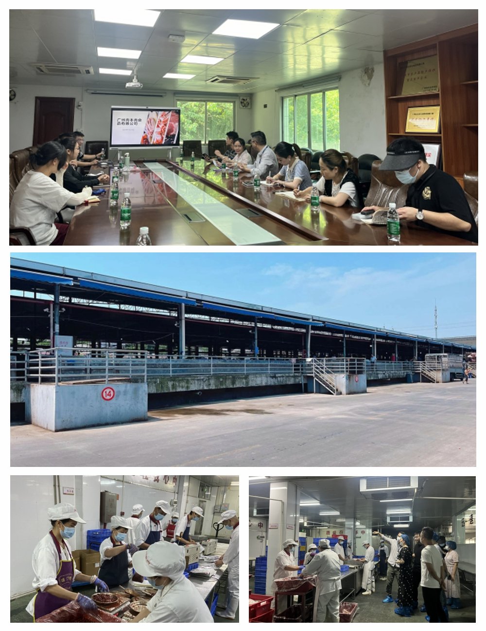 Z6·尊龙「中国区」官方网站