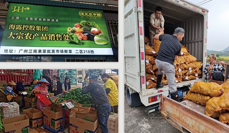 Z6·尊龙「中国区」官方网站