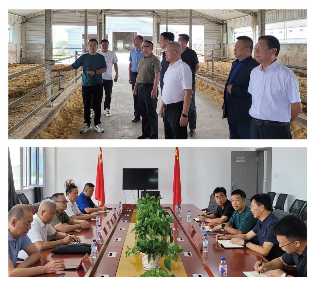 Z6·尊龙「中国区」官方网站